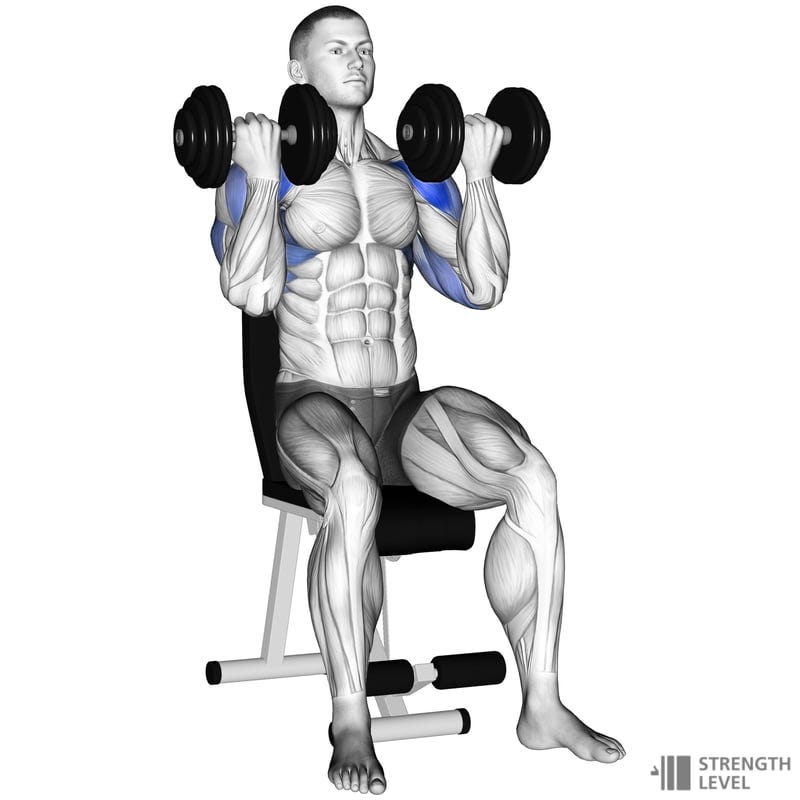 Arnold Press Standards for Men and Women (kg) - Strength Level