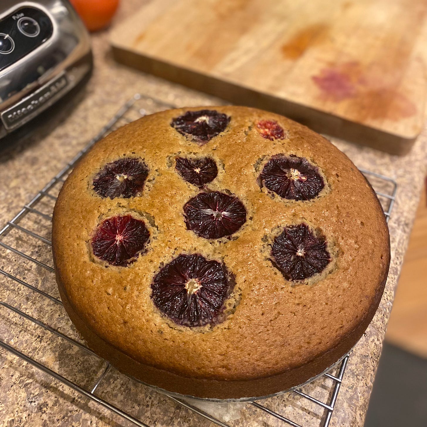 A round, golden-brown cake with slices of blood orange baked into the top. The cake is cracked slightly around them.