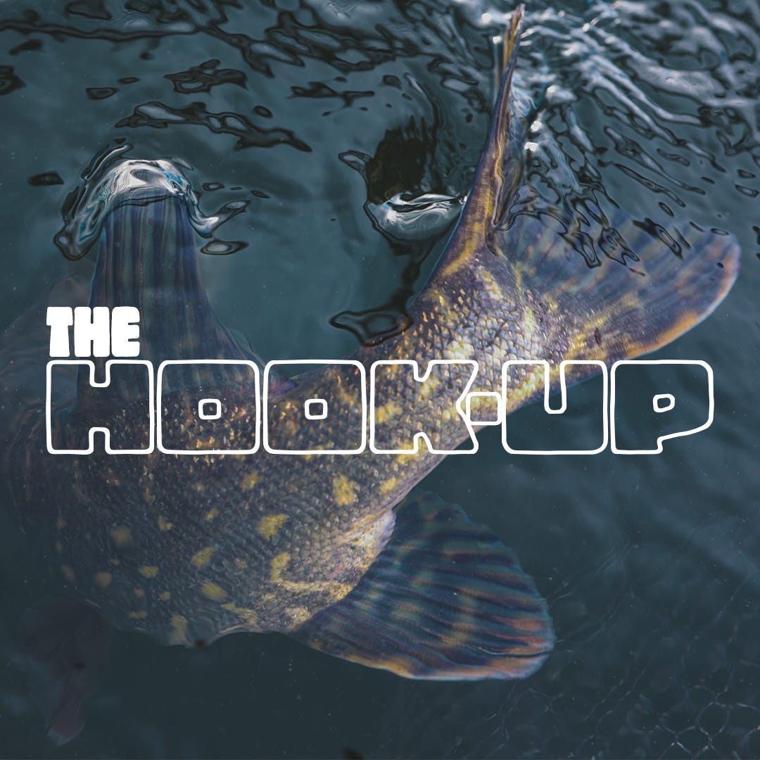 The Hook-Up