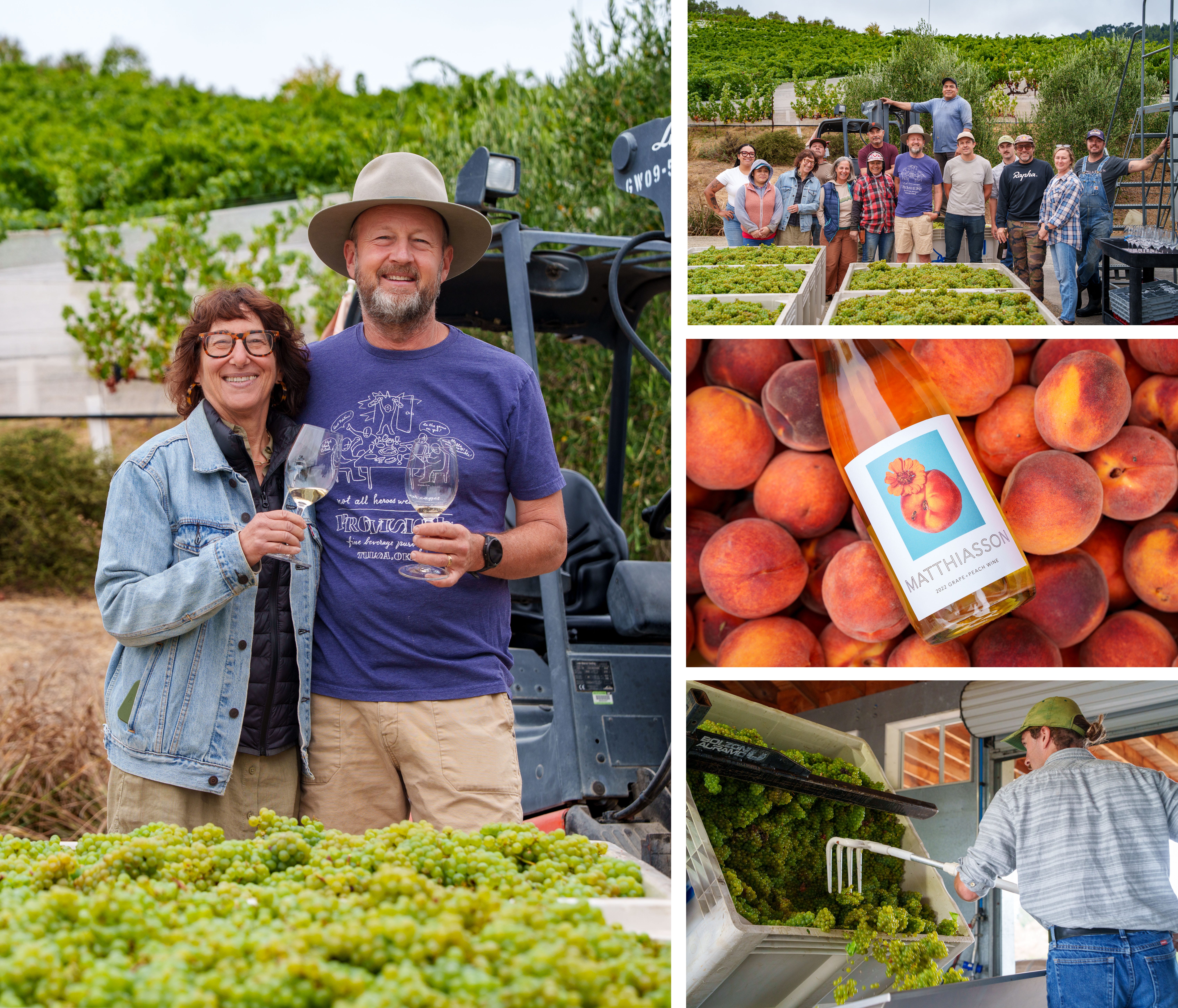 Off to the Races: Napa Valley's 2025 Harvest Begins