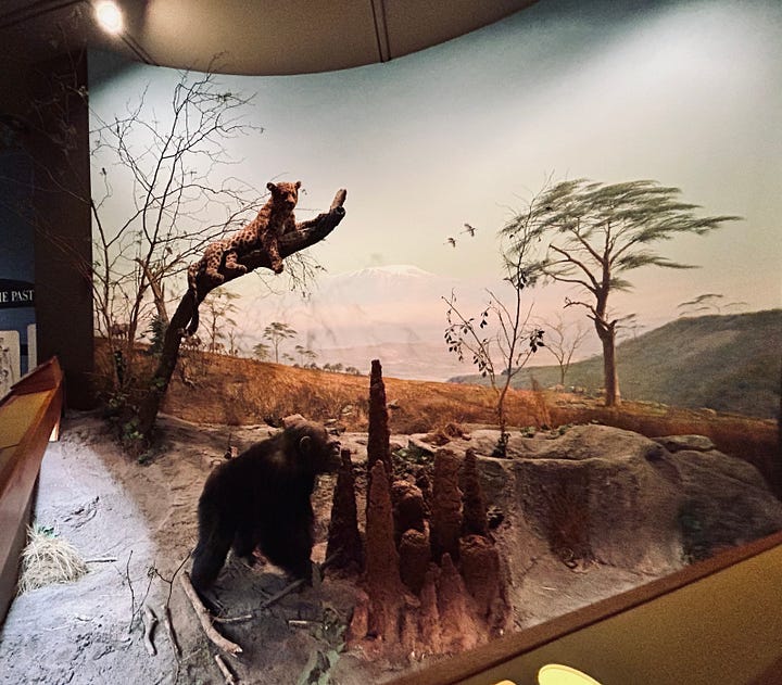 exhibits, galleries