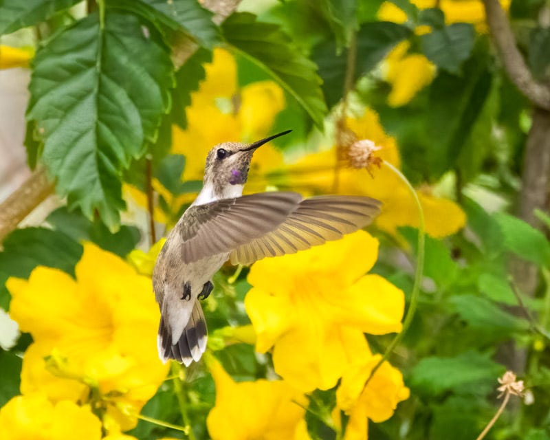20260720-mby-317-Edit.jpg