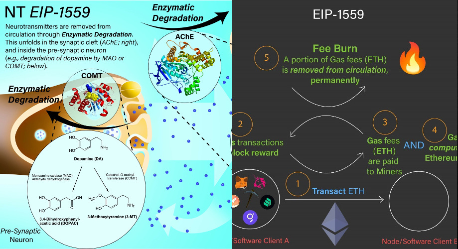 Diagram

Description automatically generated