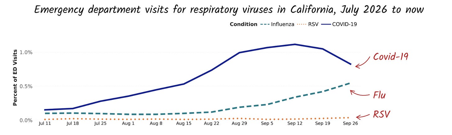 Covid, flu, West Nile virus and plague