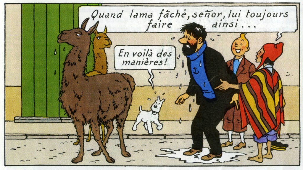 Quand lama fâché, senor, lui toujours faire ainsi