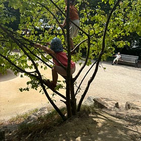 A meditation on connection