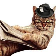 Journalist Cat (@JournalistCat) | Twitter