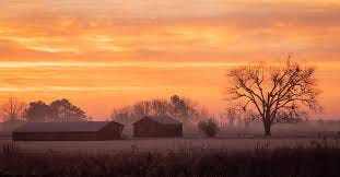 Happy Winter Solstice! A wintry sunrise in Dorchester County, Maryland.  Cheers to the light in our lives, whether literal or figurative! Happy Winter Solstice! A wintry sunrise in Dorchester County, Maryland.  Cheers to the light in our lives, whether literal or figurative!