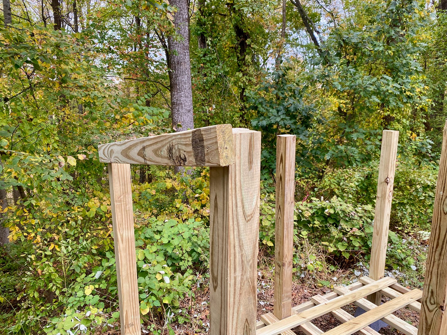 Roof Beams