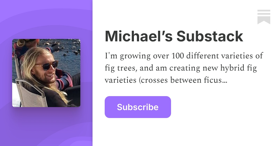 Michael’s Substack | Substack