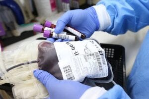 Blood bag for transfusion