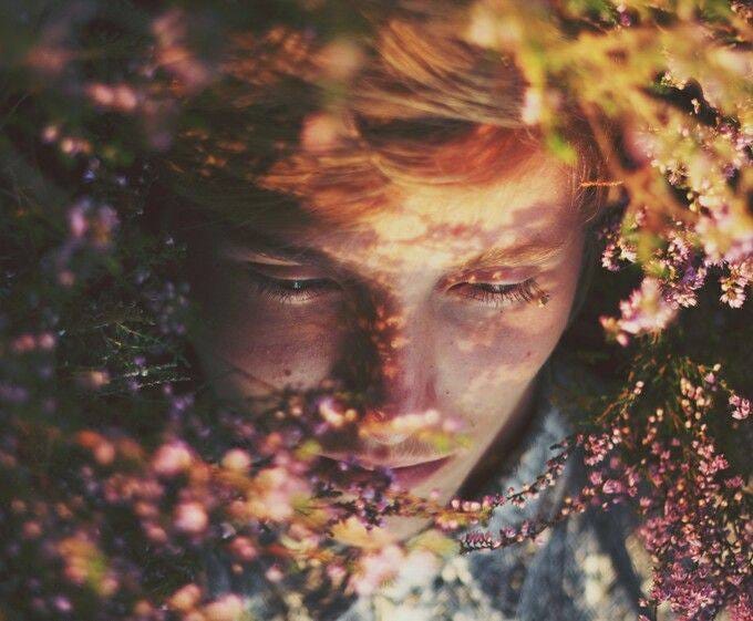 May be an image of baby's-breath May be an image of baby's-breath