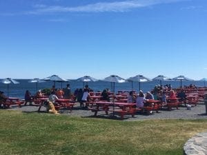 Lobster shacks