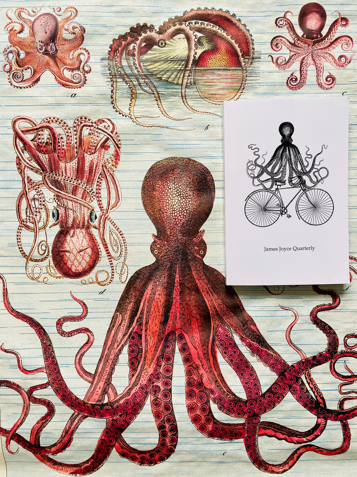 Mark Steven on Twitter: "Look what arrived, from @Katherine_Ebury and  @twinkling_sheep! With octopus chart for size comparison, and offprint  approval from Karl and Grigori. https://t.co/K2iZRDZkZu" / Twitter