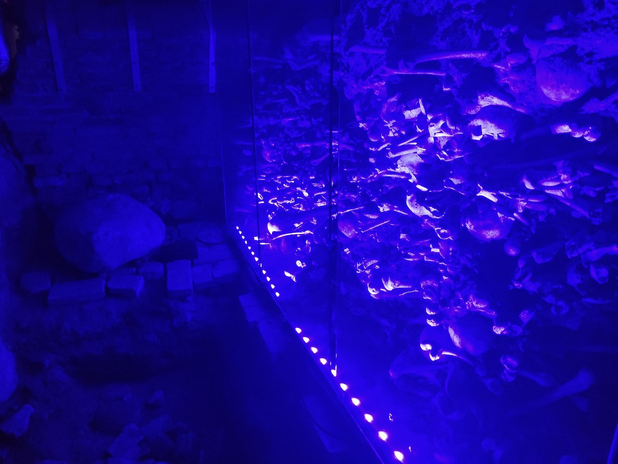 Piles of bones behind glass, bathed in blue light