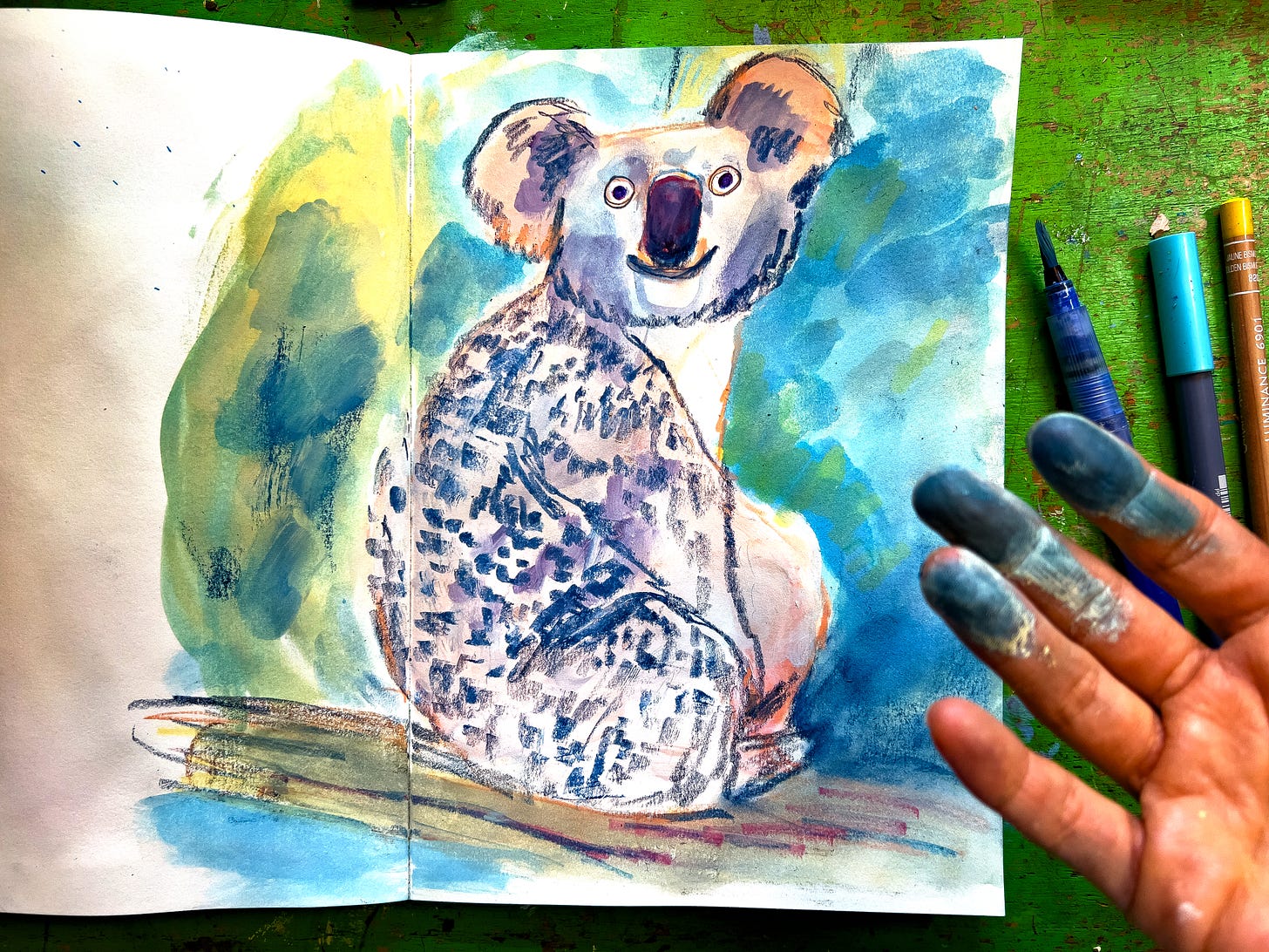 koala illustration by Beth Spencer