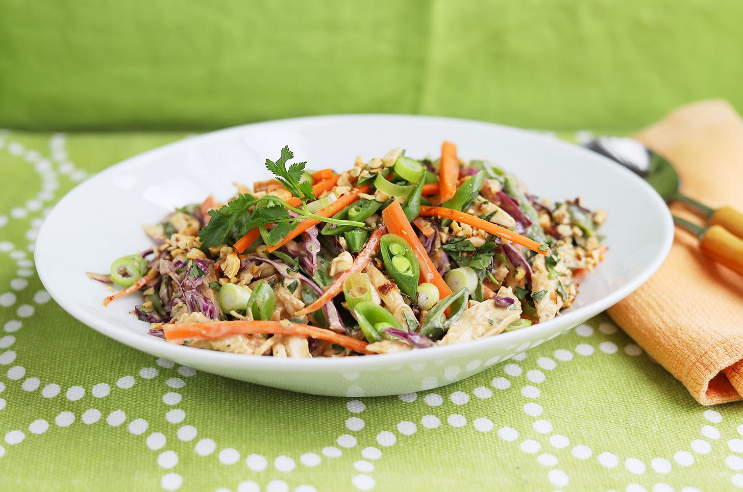 Chicken Salad with Peanut Sauce and Crunchy Vegetables, Cook the Vineyard