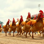 WEEKLY PAYERS -- Yield + Capital Gain Analysis 3/24/2026