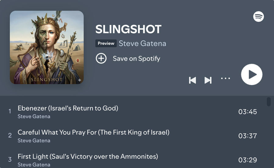 Slingshot - The Story of David