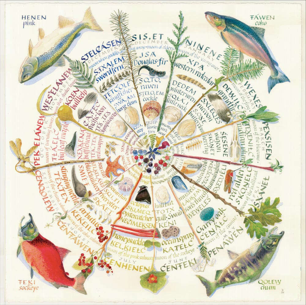 Thirteen Moon Calendar of Indigenous foods by Briony Penn Thirteen Moon Calendar of Indigenous foods by Briony Penn