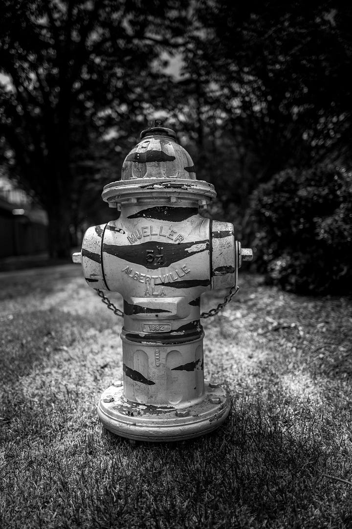 tiger striped fire hydrant, flowers with grasshopper