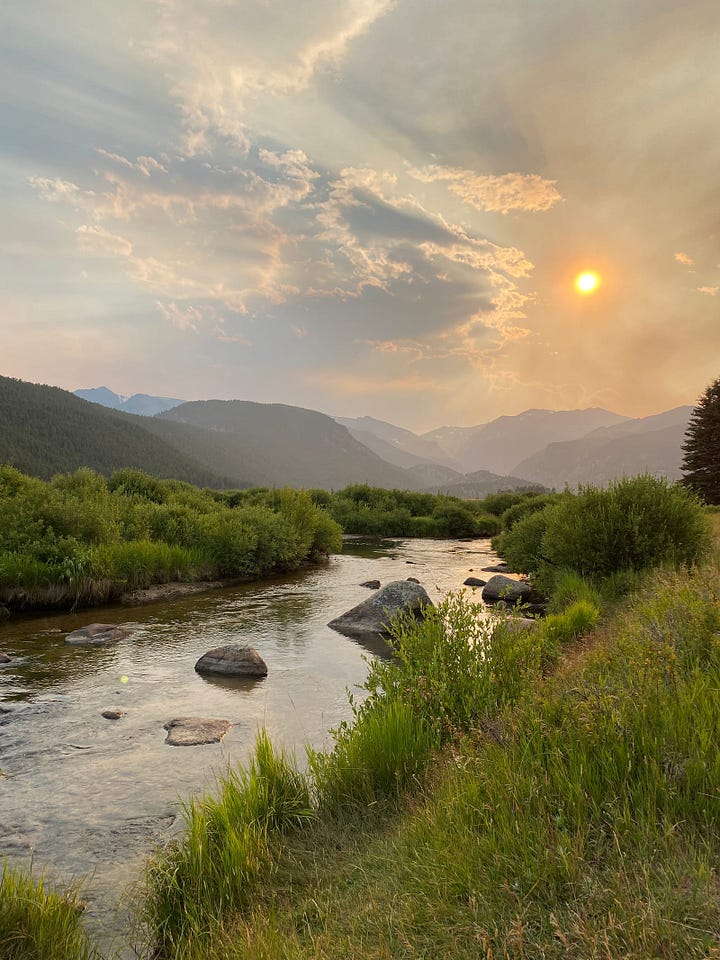 Photos of the Moraine Park area and elk.