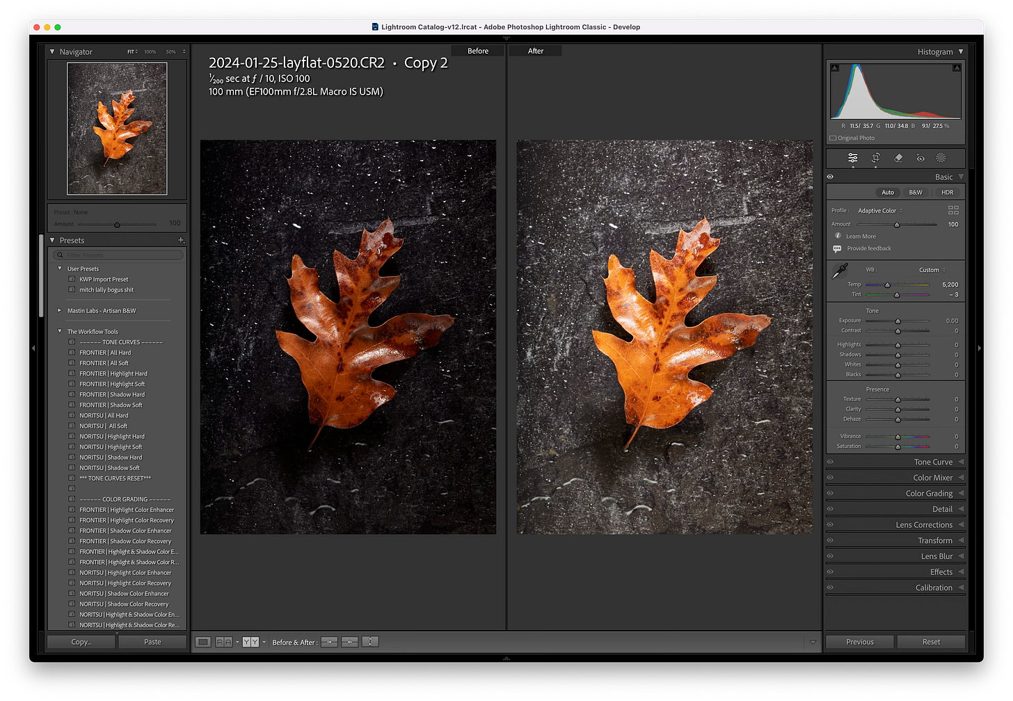 adobe adaptive color adobe adaptive color