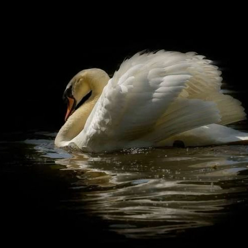 Vivendo Pela Primeira Vez