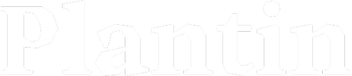 Plantin Mag Newsletter