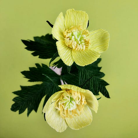 Wood Anemone, Bluebell and Buttercup flowers made from The Paper Wildflower Craftkits. Pictur3s of the three flowers against a lime green background.