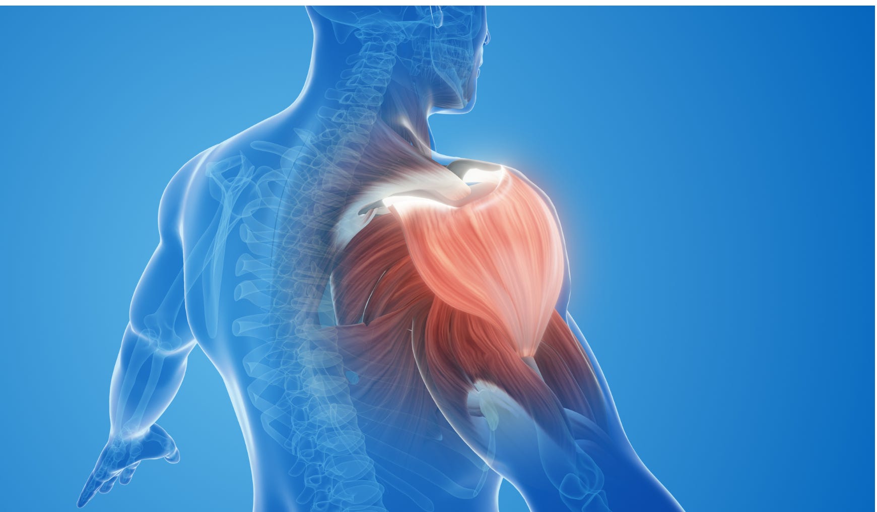 Heart Getting Stronger How Strength Training Protects Your Heart and Stabilizes Blood Sugar ...