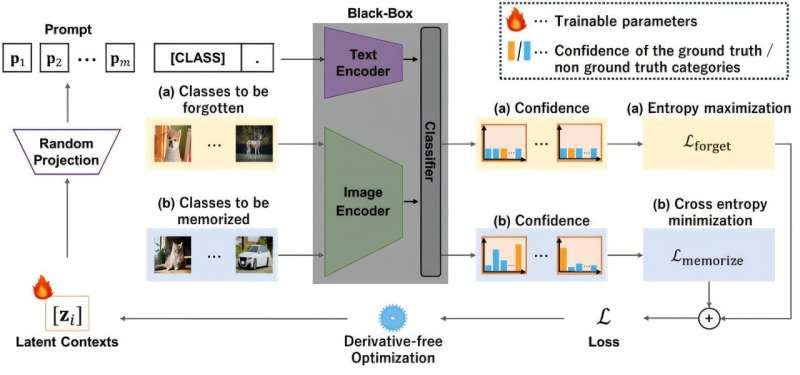 Black-box forgetting: A new method for tailoring large AI models
