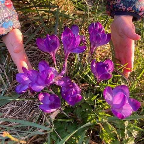 Pink sunset, shadow of a tree on a lilac house, pink flowers surrounded by a child's hands, a misty woodland, a pair of red tulips, a dark cloudy sky