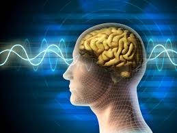 Right-Brained and Left-Brained People ...