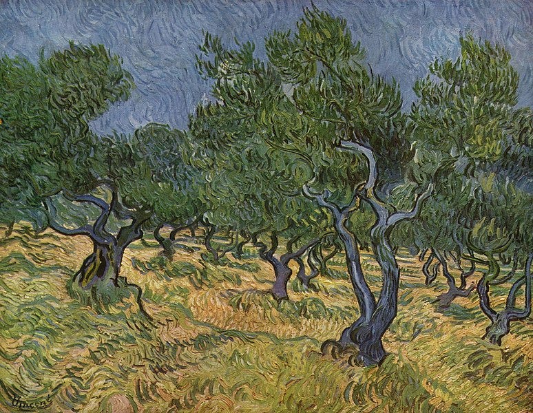 van Gogh painting of olive trees with energy.