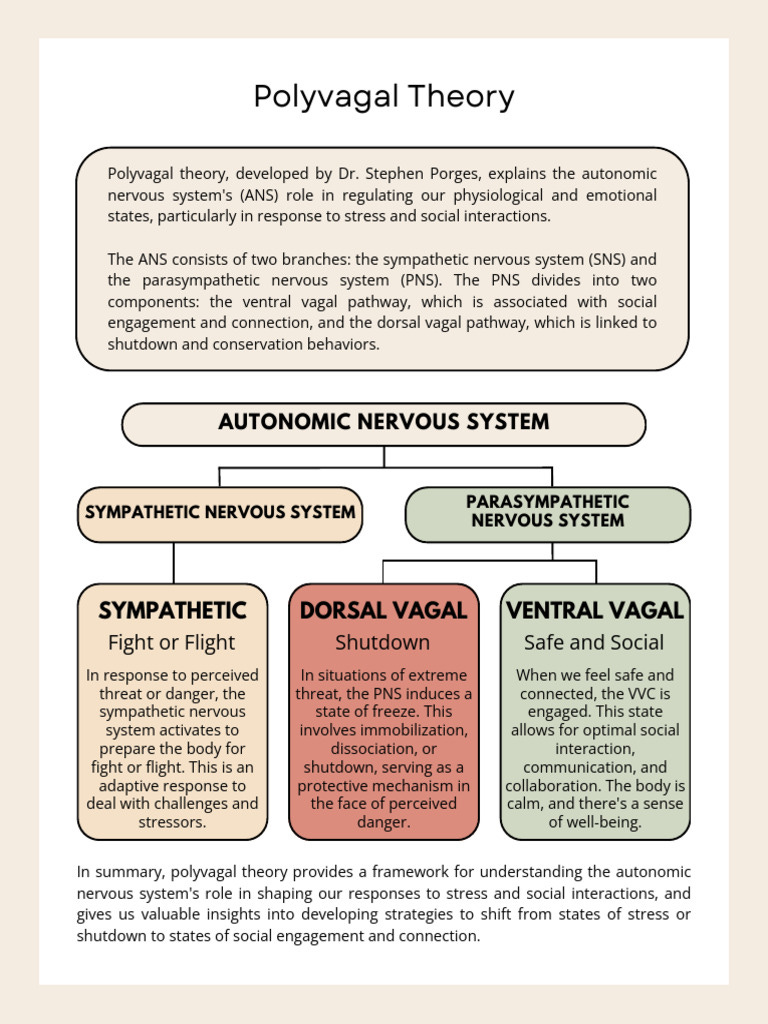 Understanding Polyvagal Theory Basics | PDF | Psychology | Mental Health