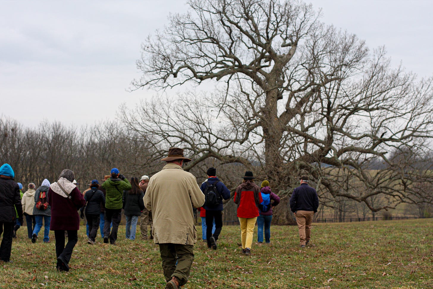 A group of people walking toward a large tree in winter. Photo by Katherine Shaw