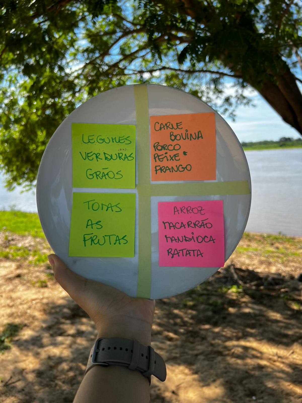 Project NAVIO and the Brazilian Institute of Behavioral Sciences