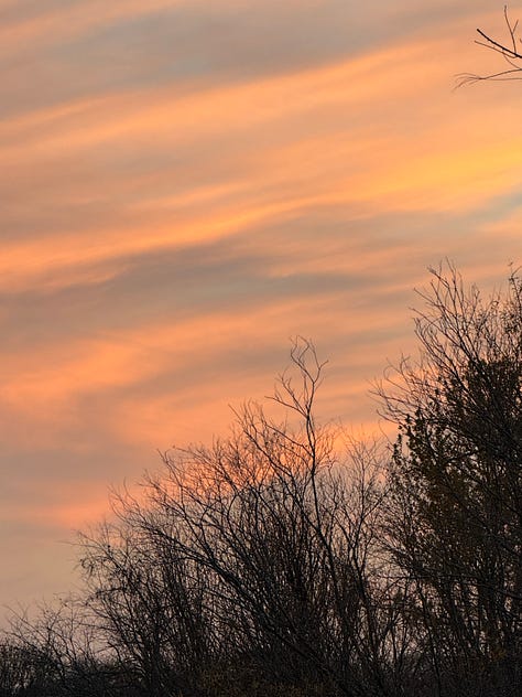 Three sunset pictures of strips of clouds in the sky with an orange glow to them, some trees visible in the foreground but the focus is on the clouds reflecting sunset light.