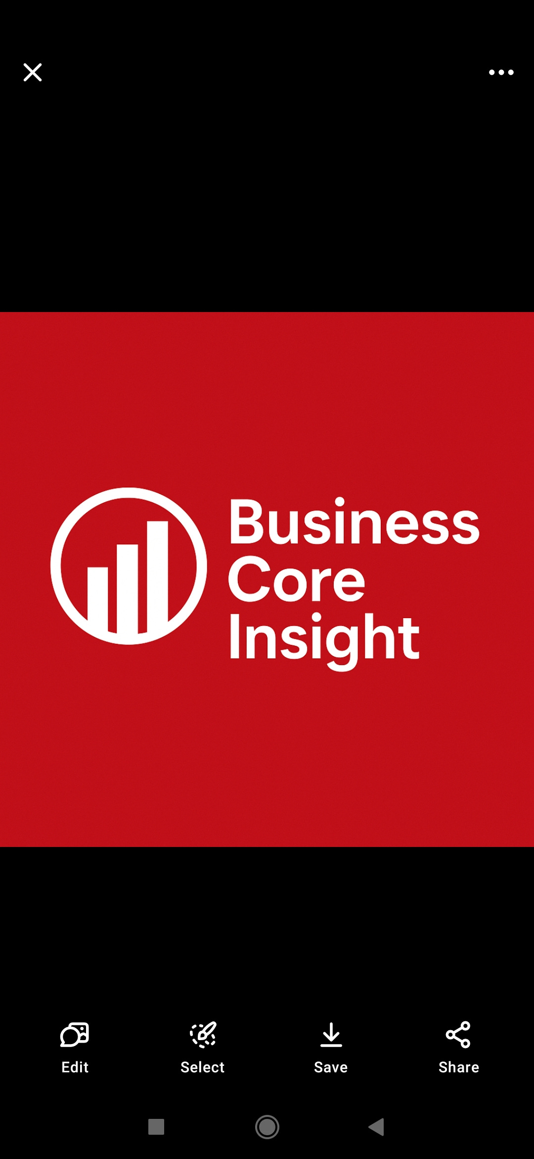 Business Core Insight