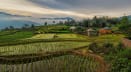 Vietnam Decoded