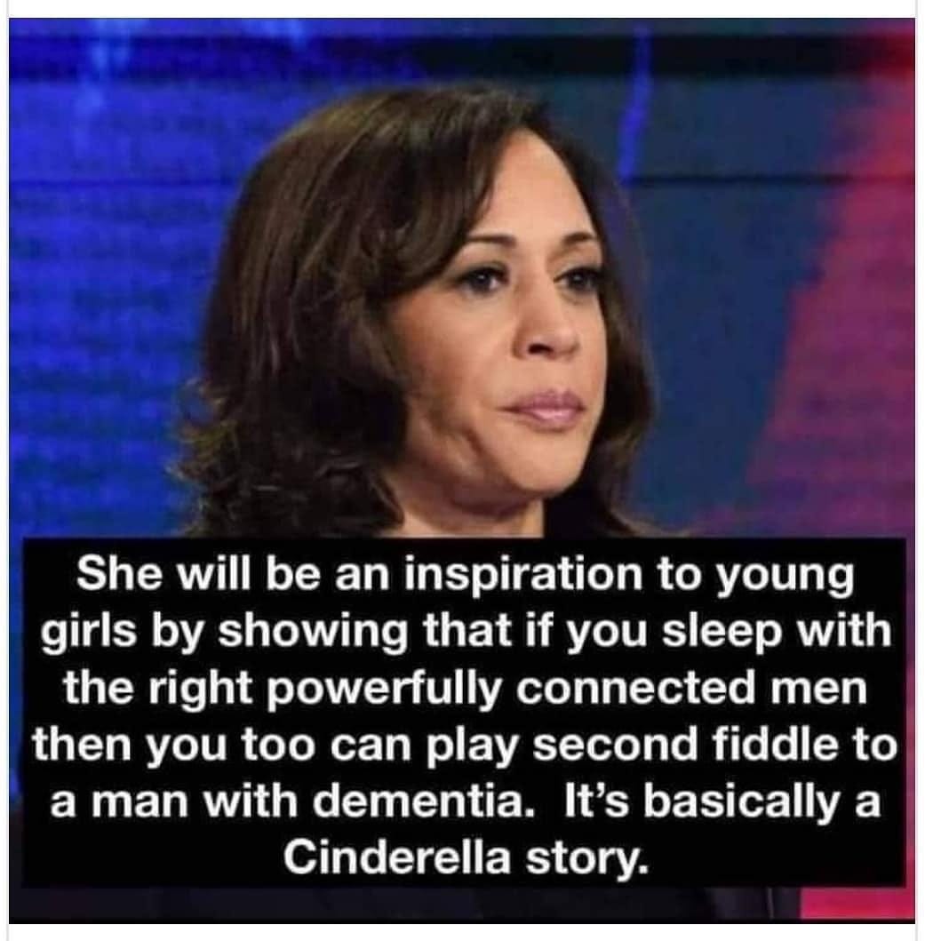 Image may contain: 1 person, text that says 'She will be an inspiration to young girls by showing that if you sleep with the right powerfully connected men then you too can play second fiddle to a man with dementia. It's basically a Cinderella story.' Image may contain: 1 person, text that says 'She will be an inspiration to young girls by showing that if you sleep with the right powerfully connected men then you too can play second fiddle to a man with dementia. It's basically a Cinderella story.'