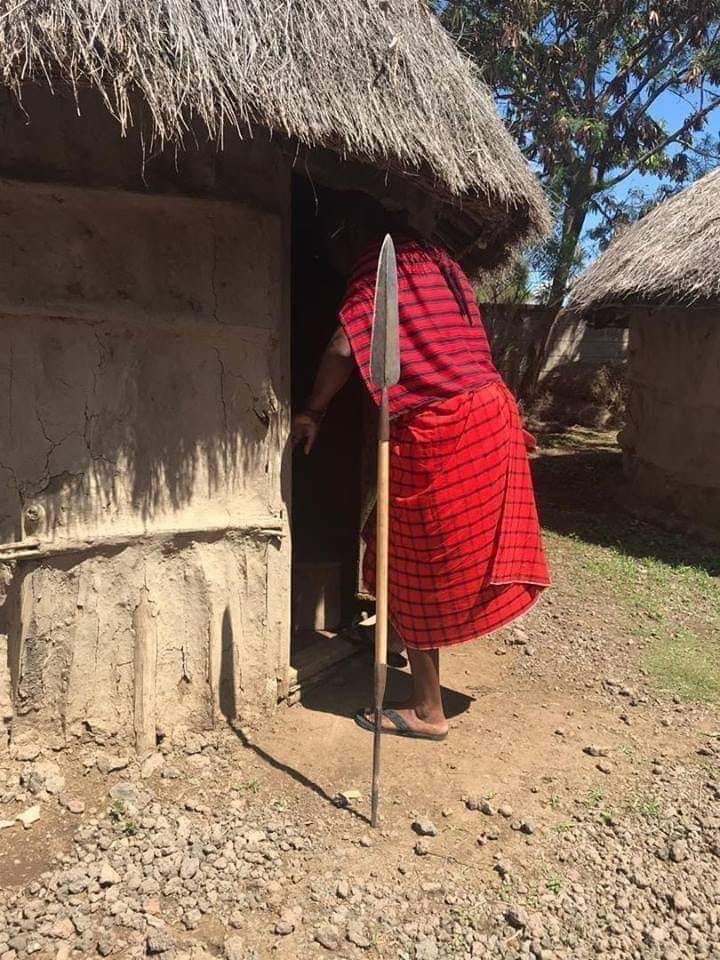 Celebrating the Maasai Culture. The Mkuki (Spear) outside the house. A Mkuki outside the house signifies the woman inside is occupied with another man, if the lady's husband comes home while the