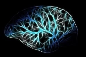 Brain illustration