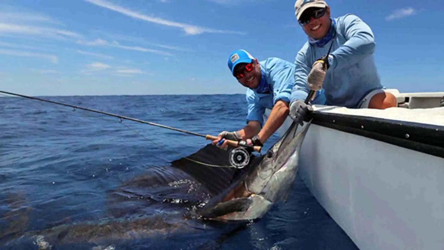 Renowned for its crystal-clear azure waters teeming with offshore species such as yellowfin tuna and wahoo, Providence Atoll offers a unique opportunity for anglers to reel in the prized sailfish.