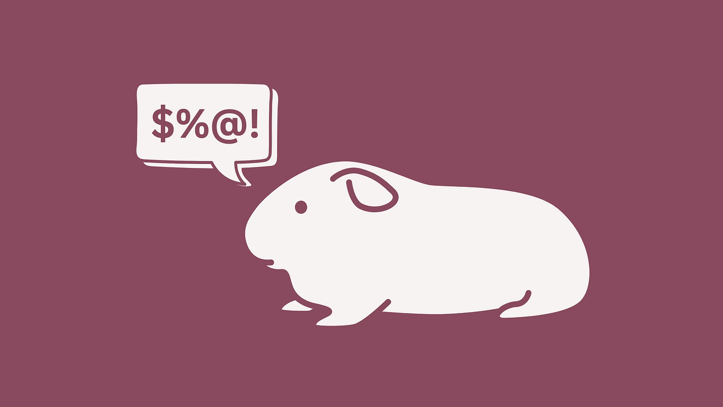 The Incorrigible Guinea Pig - Bear Savo