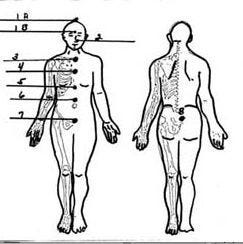 diagram of a man and the 7 energy locks for the Main Central Vertical hold diagram of a man and the 7 energy locks for the Main Central Vertical hold