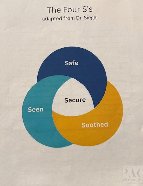 The 4 S’s: Personal and Professional Reflections on Safety, Connection ...