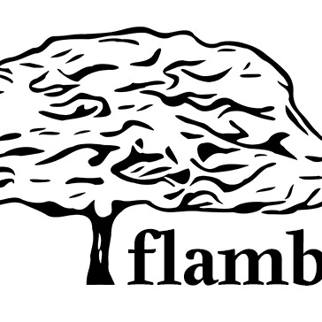 ¿Qué estás leyendo? de Flamboyán