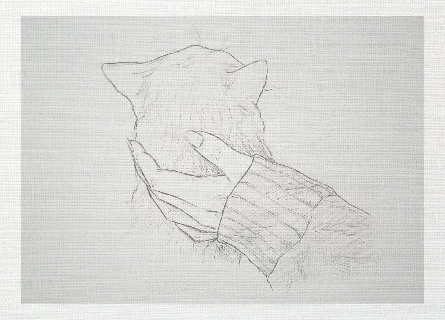 pencil sketch of a woman's hand stroking a cat
